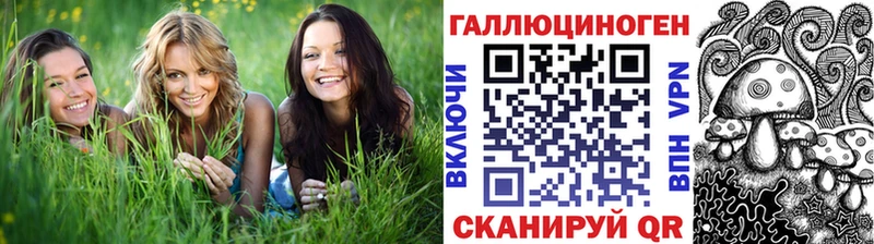 Псилоцибиновые грибы Psilocybe  Куйбышев 